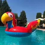 Silver Pool דירה *
